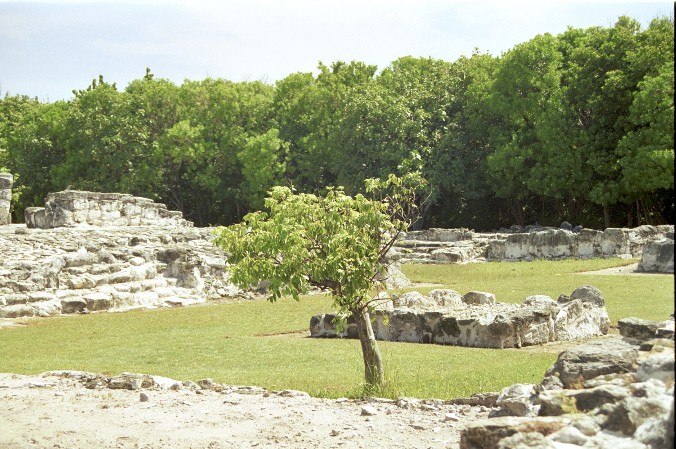 El Rey - Eine kleine Ruine in Cancun von Antje Baumann