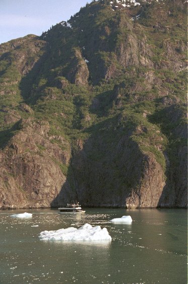 Eine Eisscholle vom Sawyer Gletscher von Antje Baumann