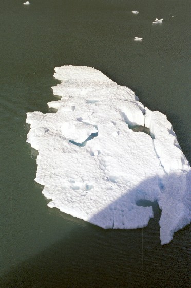 Eisscholle am Sawyer Gletscher von Antje Baumann