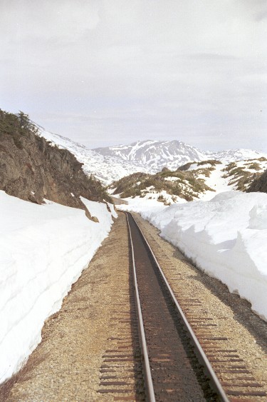 White Pass Train von Antje Baumann