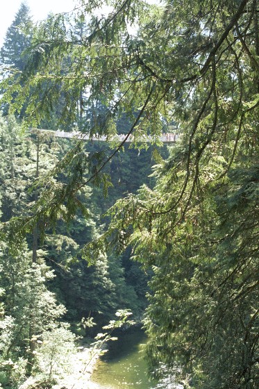 Capilano Suspension Bridge von Antje Baumann