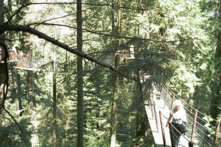 Capilano Suspension Bridge von Antje Baumann