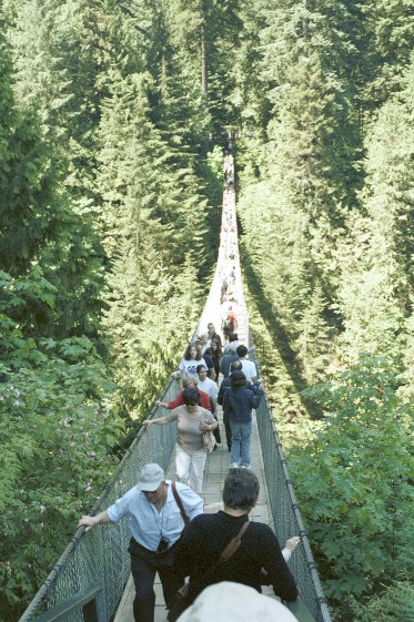 Capilano Suspension Bridge von Antje Baumann