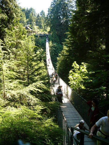 Vancouver: Capilano Suspension Bridge von Bernd Ptzold