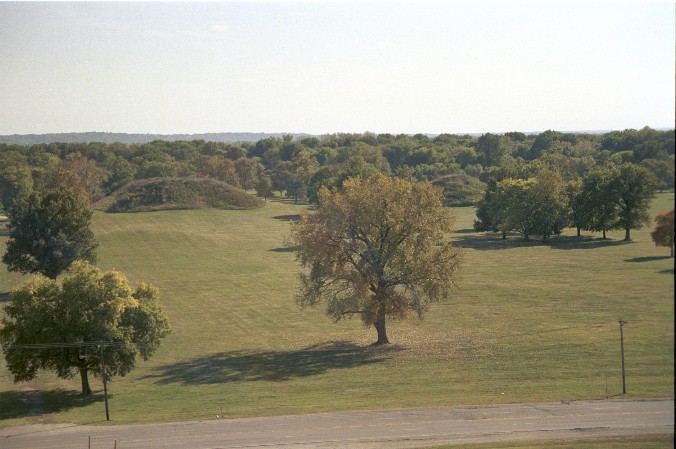 Blick vom Monk Mound von Antje Baumann