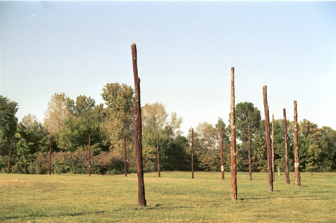 Woodhenge von Antje Baumann