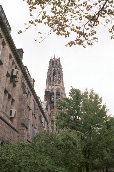 Altehrwürdiger Campus der Yale University von Antje Baumann