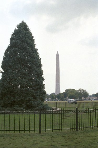 Nationaler Weihnachtsbaum mit Washington Monument von Antje Baumann