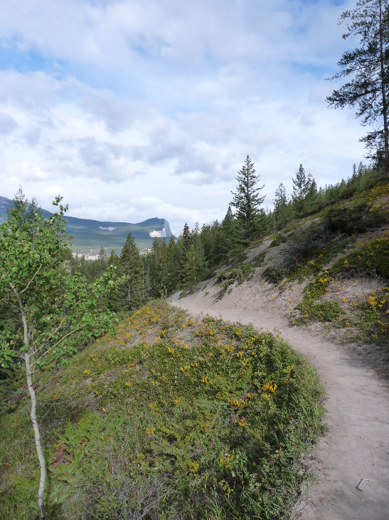 Wanderweg am Maligne Canyon von Antje Baumann