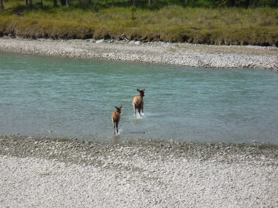 Mutter und Kind berqueren den Athabasca River von Antje Baumann