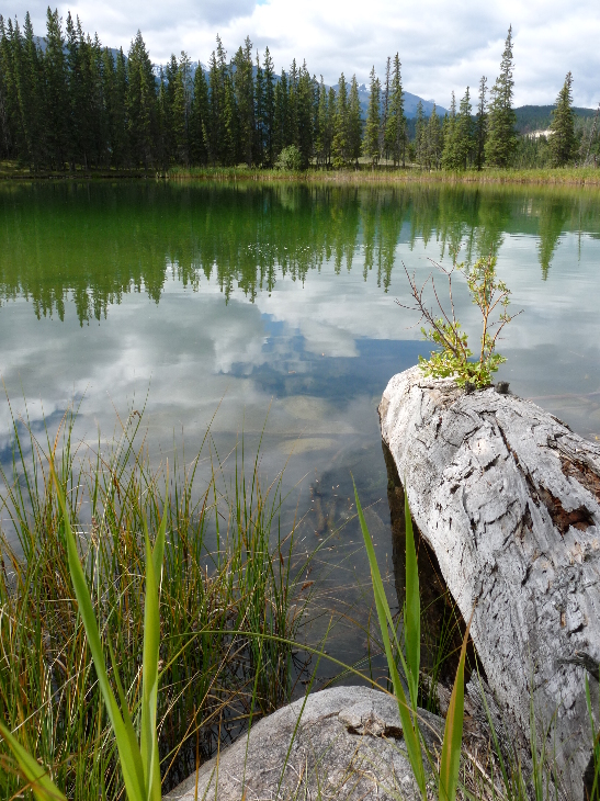 Mildred Lake von Antje Baumann