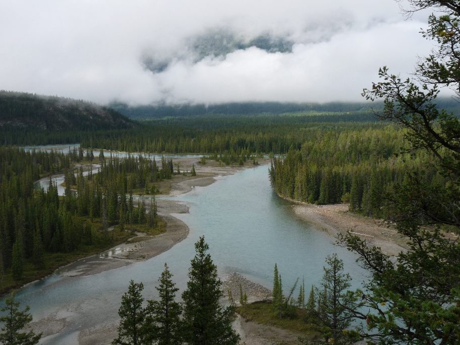 Athabasca River von Antje Baumann