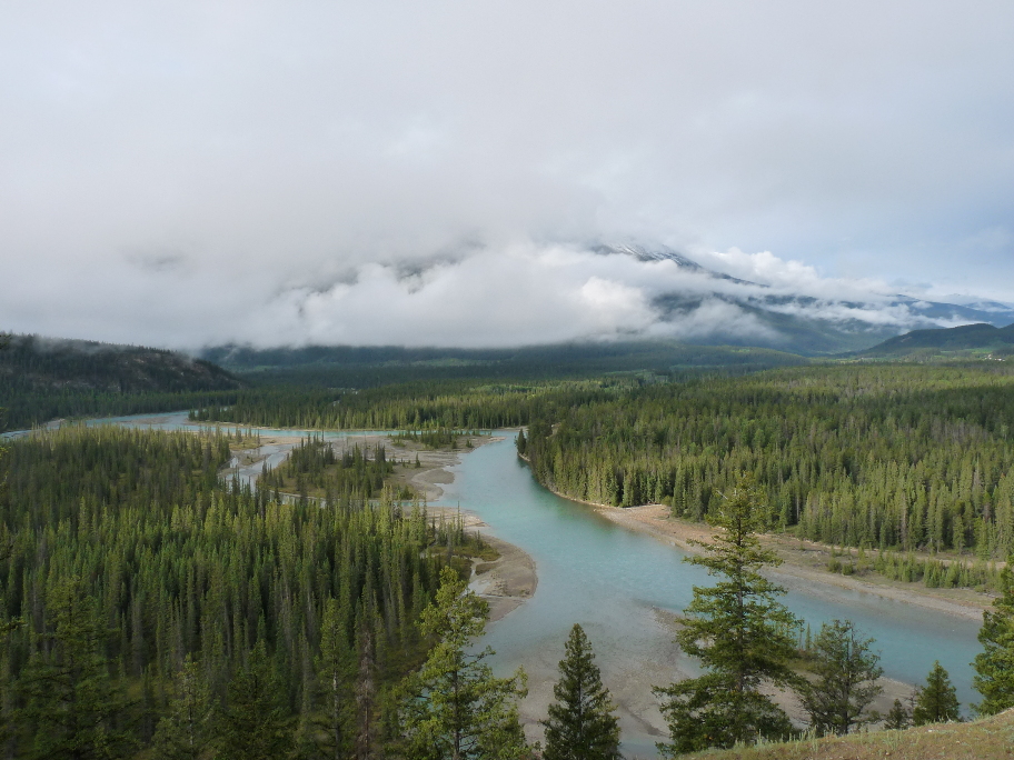 Athabasca River von Antje Baumann