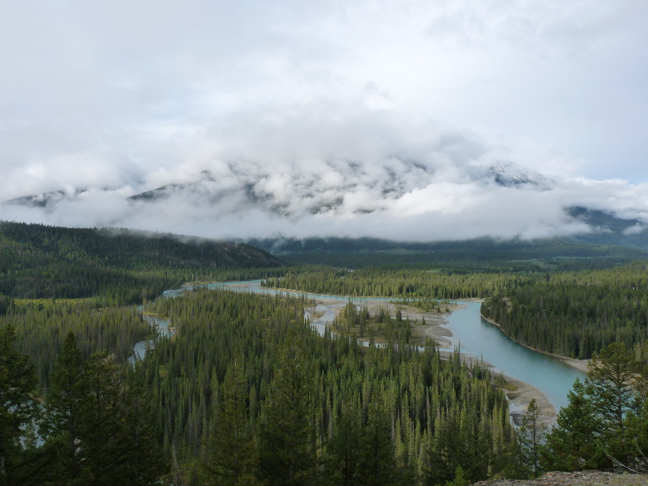 Athabasca River von Antje Baumann