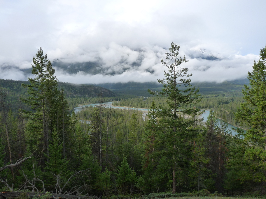 Athabasca River von Antje Baumann