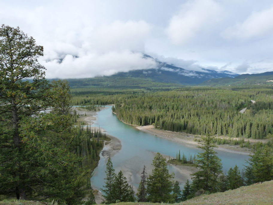 Athabasca River von Antje Baumann