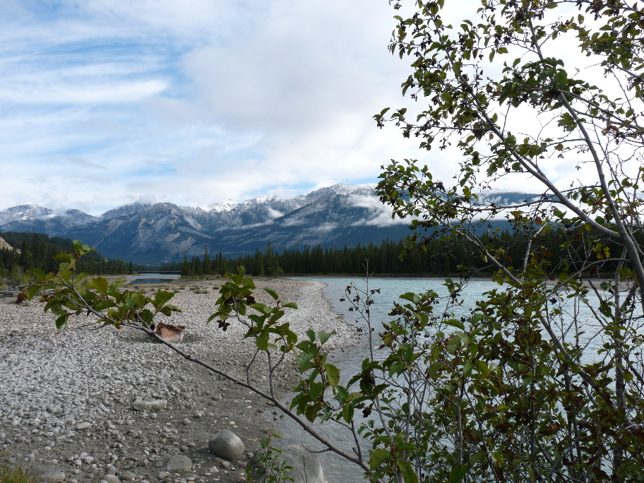 Athabasca River von Antje Baumann