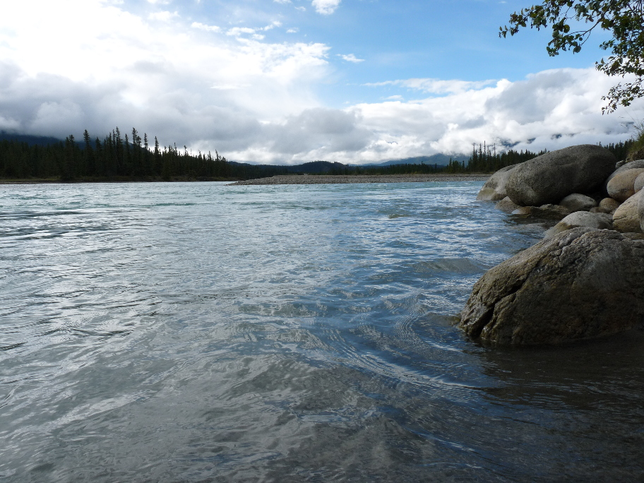 Athabasca River von Antje Baumann