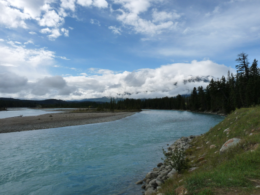 Athabasca River von Antje Baumann