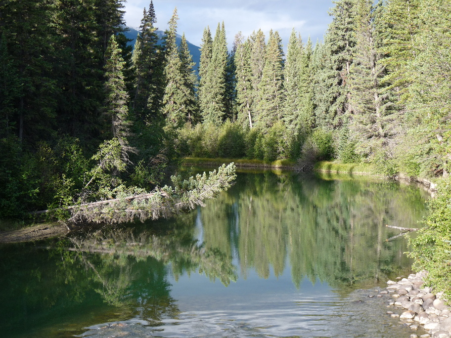 Miette River von Antje Baumann