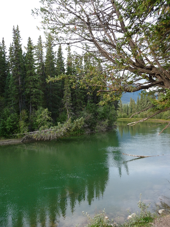 Miette River von Antje Baumann