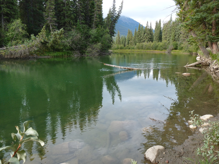 Miette River von Antje Baumann