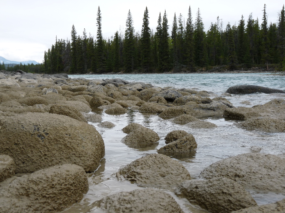 Athabasca River von Antje Baumann