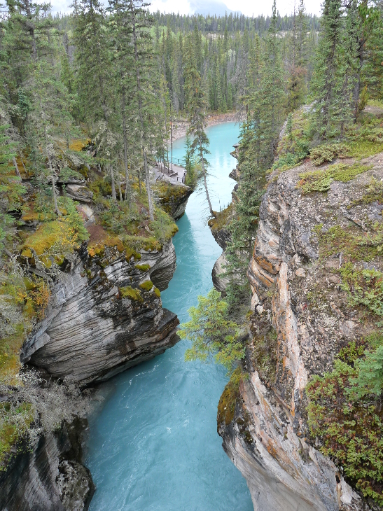 Athabasca Falls von Antje Baumann