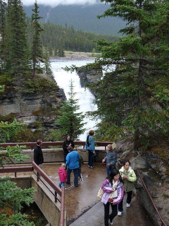 Athabasca Falls von Antje Baumann