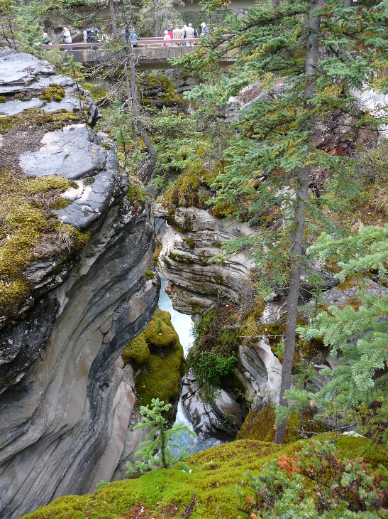 Athabasca Falls von Antje Baumann