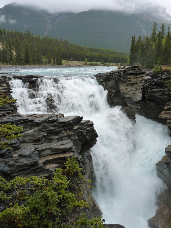 Athabasca Falls von Antje Baumann