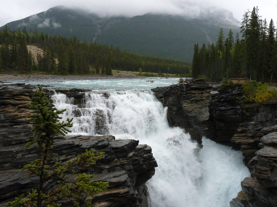 Athabasca Falls von Antje Baumann