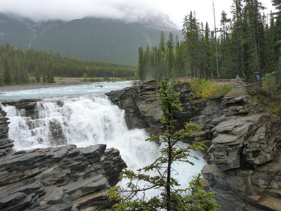 Athabasca Falls von Antje Baumann