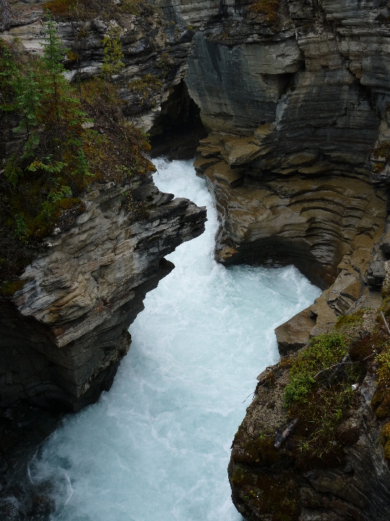 Athabasca Falls von Antje Baumann
