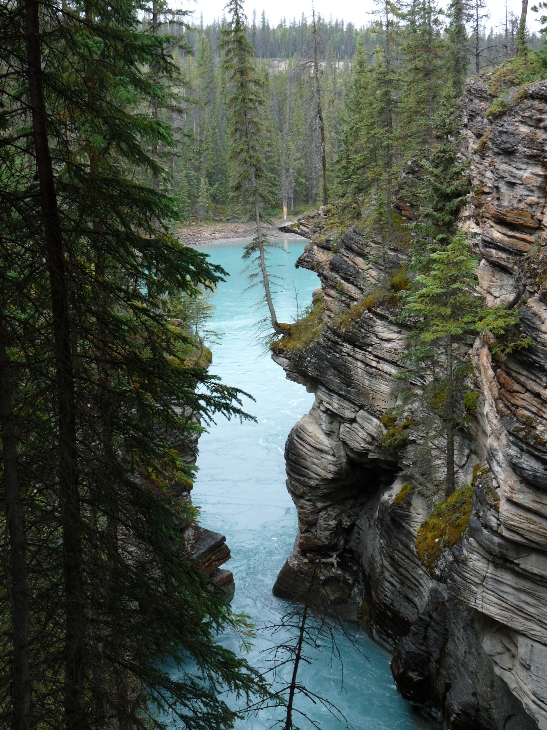 Athabasca Falls von Antje Baumann