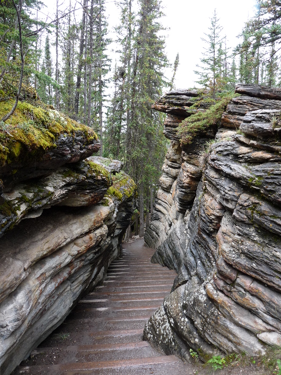 An den Athabasca Falls von Antje Baumann