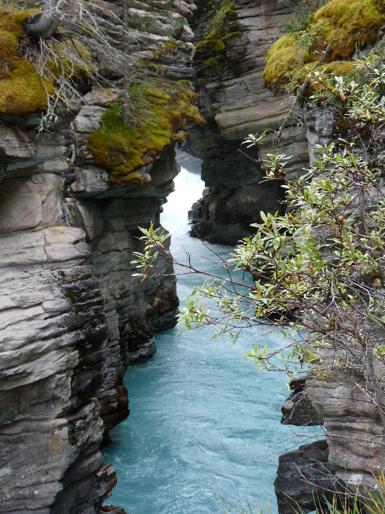 Athabasca Falls von Antje Baumann