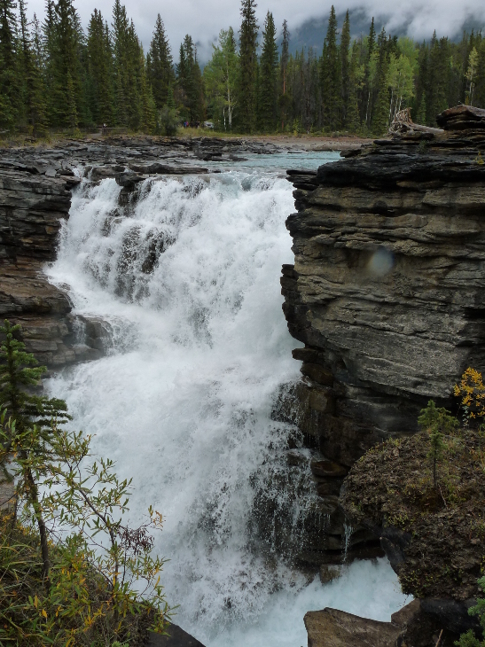 Athabasca Falls von Antje Baumann