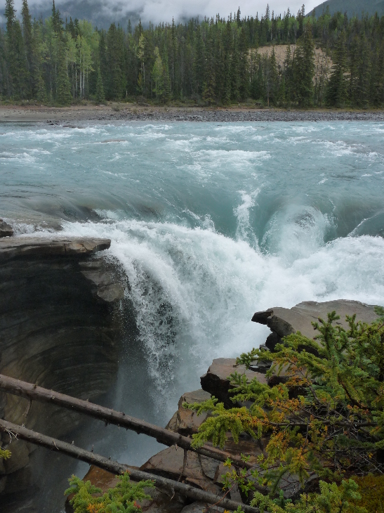 Athabasca Falls von Antje Baumann