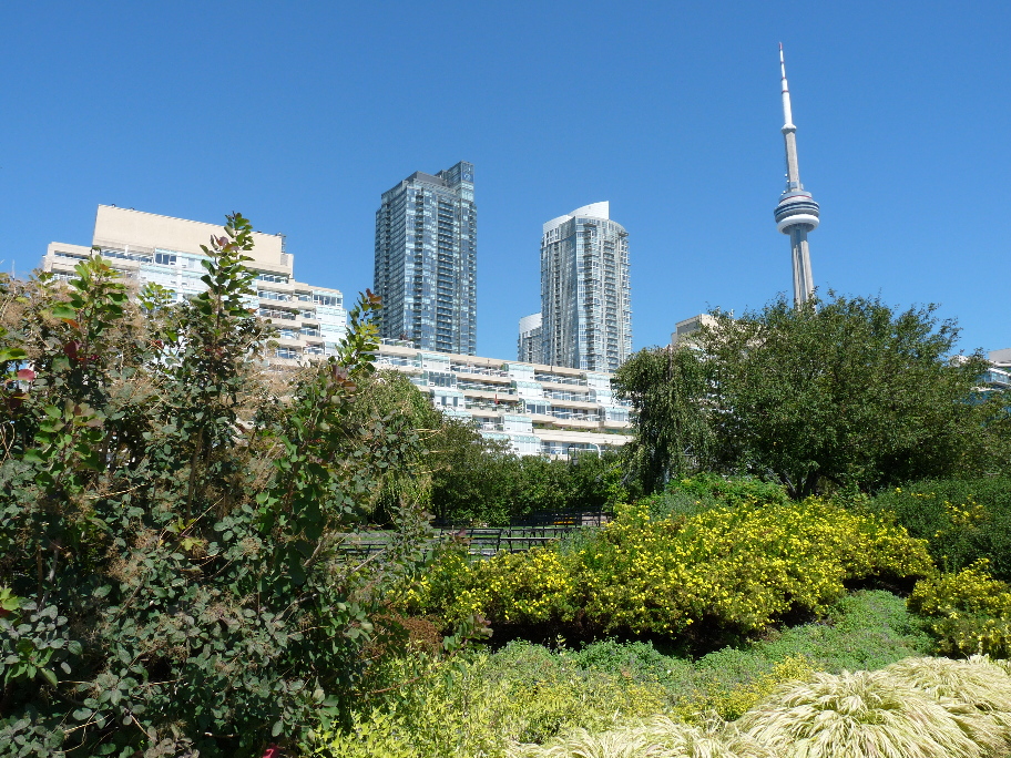 CN Tower von Antje Baumann