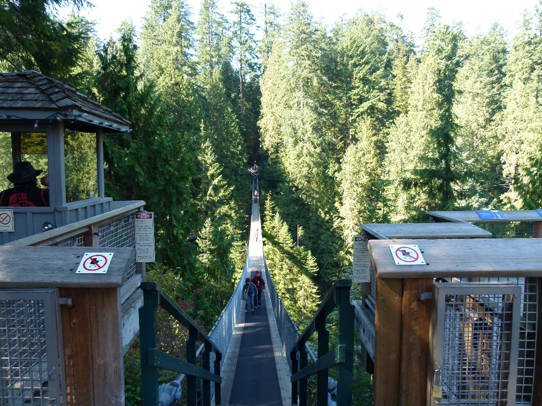 Capilano Suspension Bridge von Antje Baumann