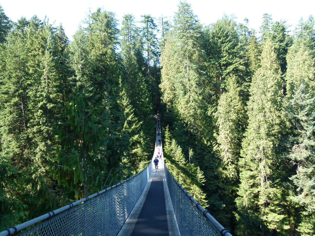 Capilano Suspension Bridge von Antje Baumann