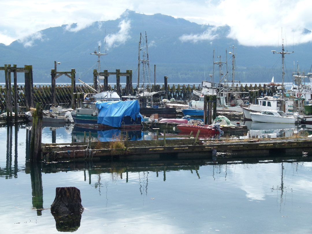 Hafen von Alert Bay von Antje Baumann