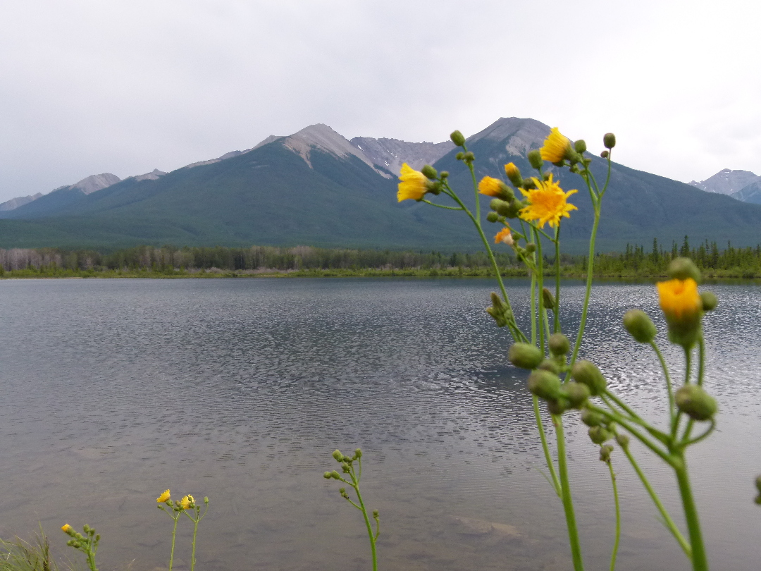 Vermillion Lake von Antje Baumann