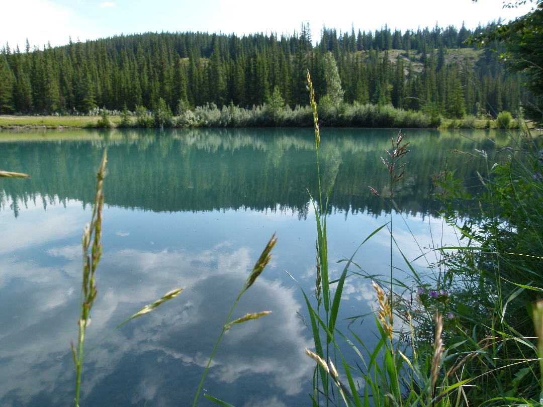 Cascade Pond von Antje Baumann