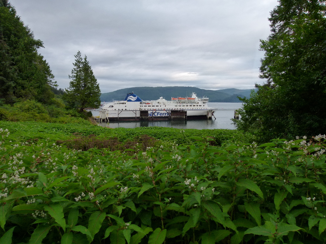 BC Ferry von Antje Baumann