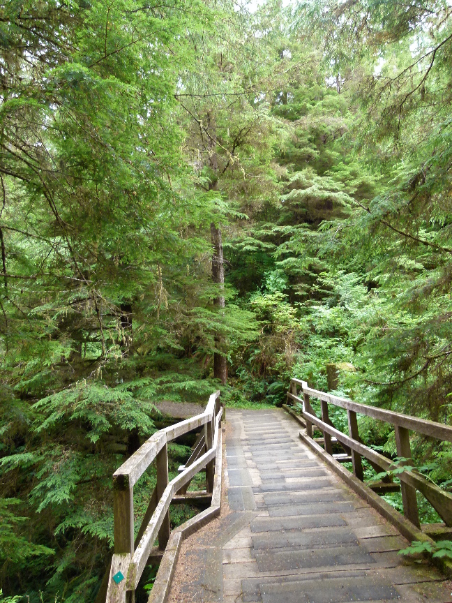 Spirit Lake Trail von Antje Baumann