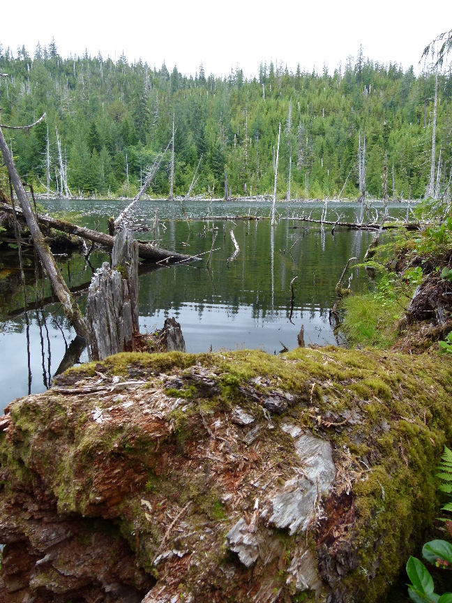 Spirit Lake von Antje Baumann