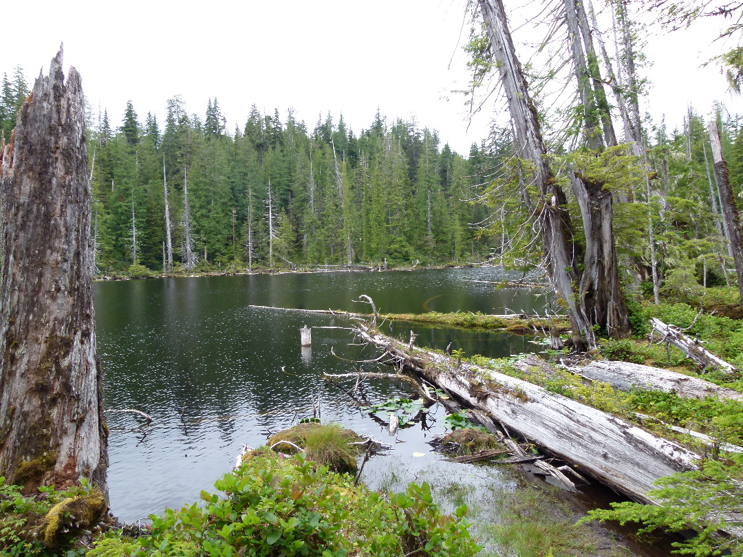 Spirit Lake von Antje Baumann