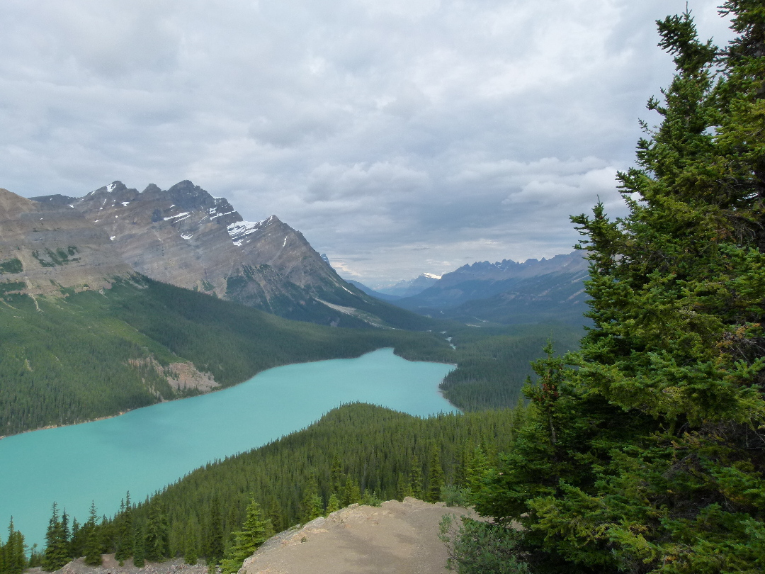 Peyote Lake von Antje Baumann